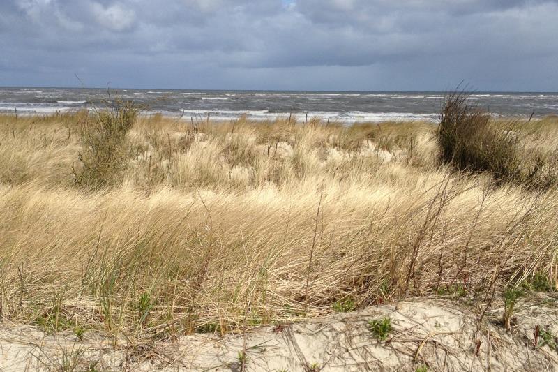 Spiekeroog Foto 5 Zugang zum Strand 