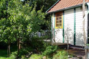 Spiekeroog Foto 4 Garten