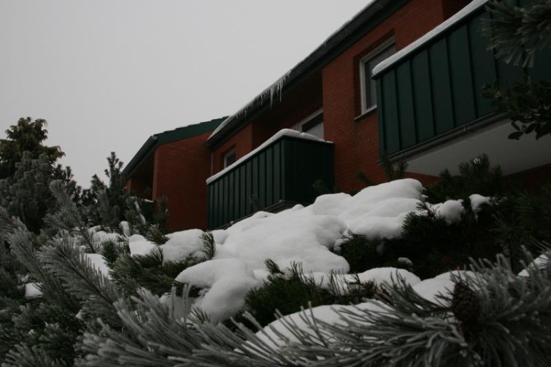 Spiekeroog Foto 2 