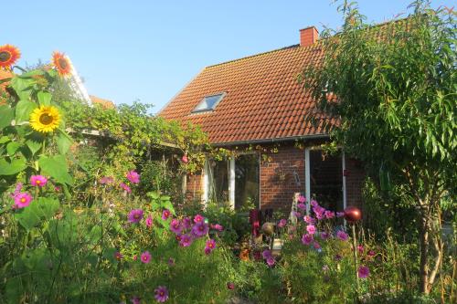 Spiekeroog Foto 2 vom Gartem mit Sommerblumen