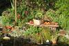 Spiekeroog Foto 8 Reiche Gartenernte