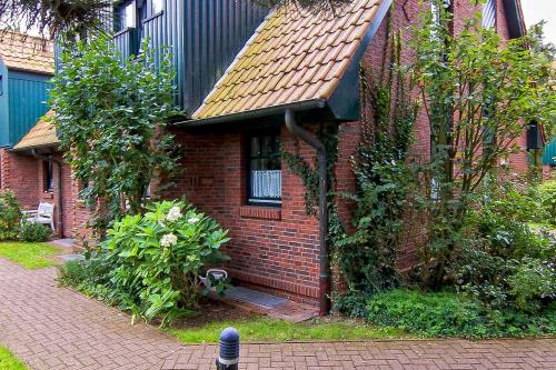 Spiekeroog Foto 1 Austernfischer I, Haus 4 