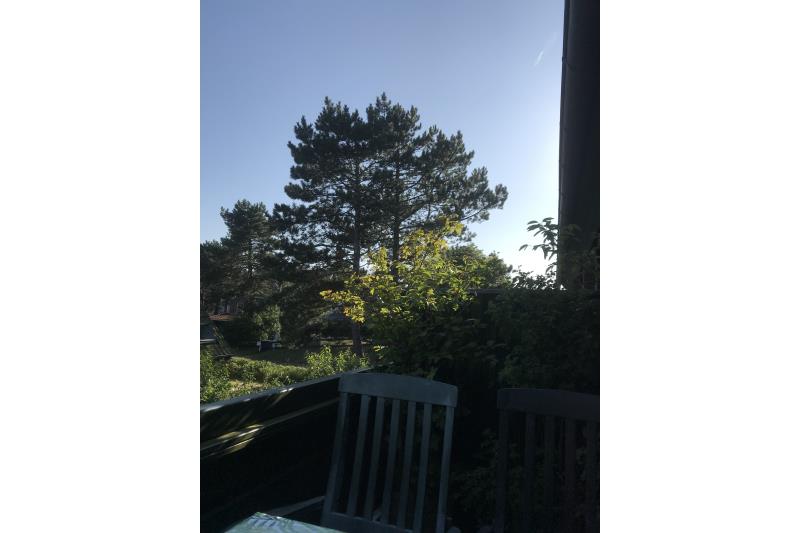 Spiekeroog Foto 3 