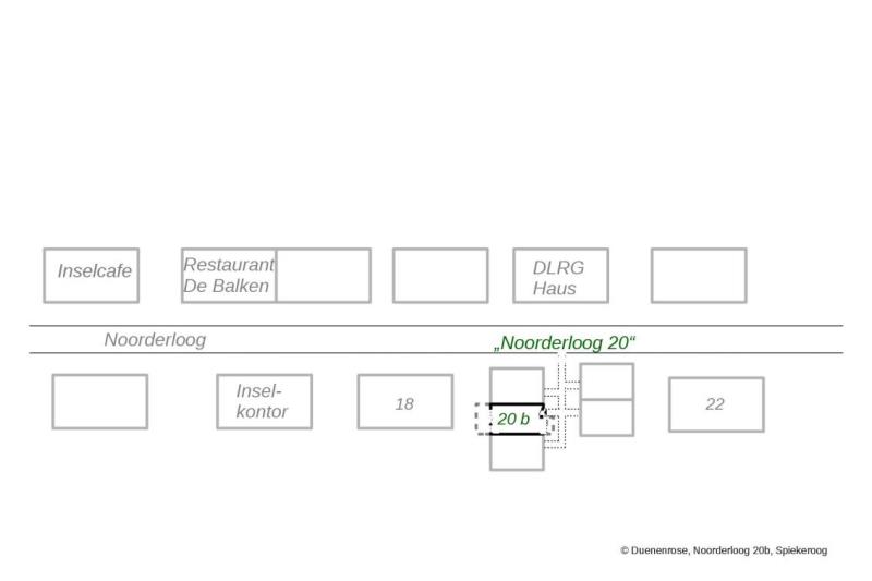 Spiekeroog Foto 13 Lage der Dünenrose im Noorderloog