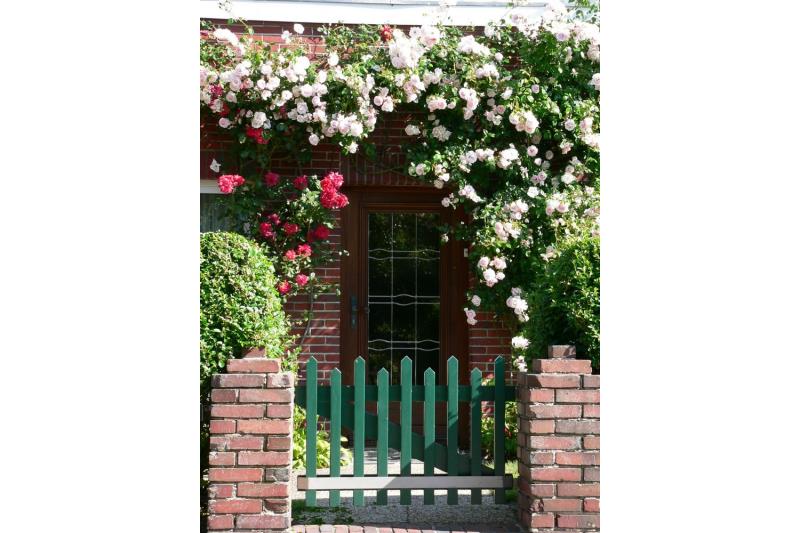 Spiekeroog Foto 2 